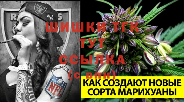 винт Братск