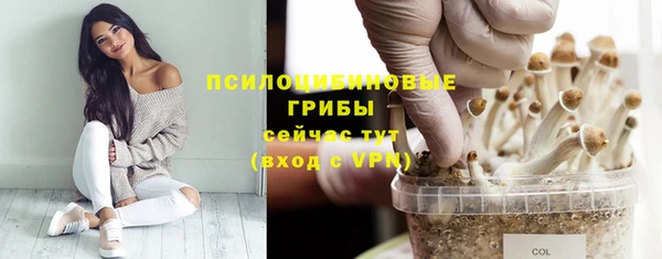 мяу мяу кристалл Новозыбков