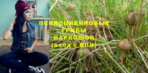 марки lsd Новодвинск