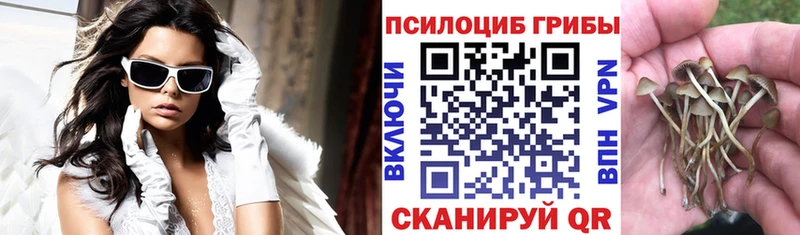 Псилоцибиновые грибы Psilocybine cubensis цена Муром