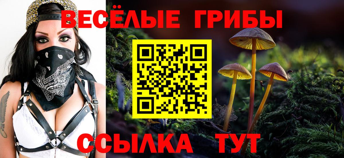 Муром  продажа наркотиков  Вход с VPN  Псилоцибиновые грибы Magic Shrooms  Галлюциногенные грибы мухоморы 